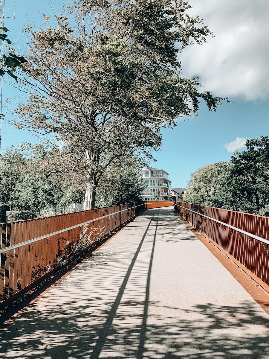 brown wooden bridge near green trees during daytime
